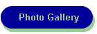 Photo Gallery